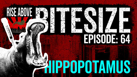 RISE ABOVE BiteSize: Hippopotamus - RA64