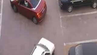 Driver Steals Her Parking Spot, Then She Corners Him To A Dead End Situation
