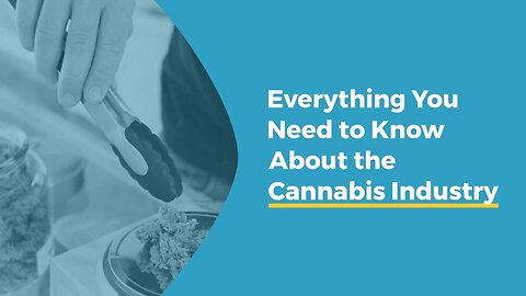 Everything You Need to Know About the Cannabis Industry