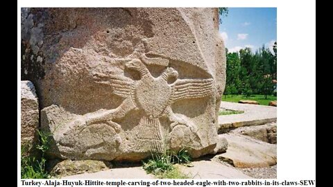 The Double Headed Eagle Head/ Pheonix/Dragon Exposed