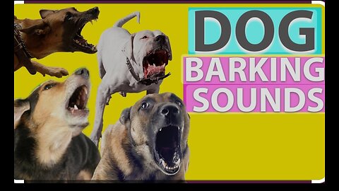 Top 10 Dogs Barking funny sounds on funny things😂.........Funny dogs......Barking sounds