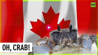 Canadian protesters demand ‘tyrant’ Trudeau’s resignation, while Ottawa is concerned about crabs