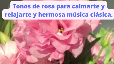 Tonos de rosa para calmarte y relajarte y hermosa música clásica.