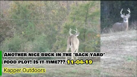 Another nice buck in the backyard plot! IS IT TIME??? 11-04-19 DEER VLOG