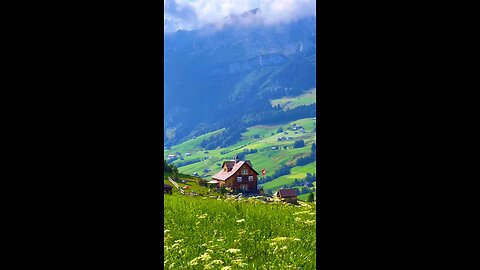 Switzerland | wildphotography #viral #trending #switzarlend #nature