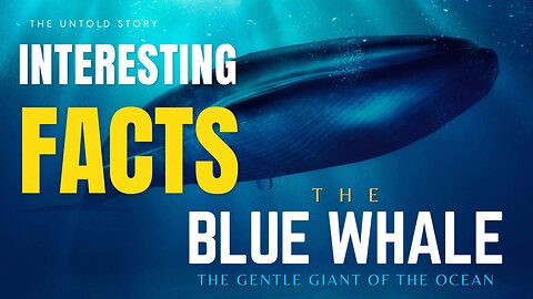 Dive Deep: Unveiling the Mysteries of the Blue Whale