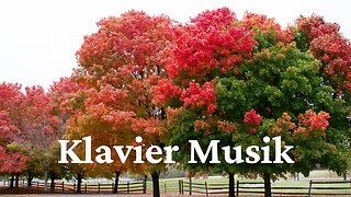 Entspannende Solo Klaviermusik + besinnliche Klaviermusik + Solo Klavier