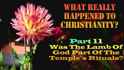 Fred Zurcher On What Really Happened To Christianity Pt11