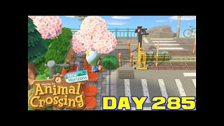Animal Crossing: New Horizons Day 285 - Nintendo Switch Gameplay 😎Benjamillion