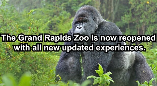 The Grand Rapids Zoo is now reopened with all new updated experiences.