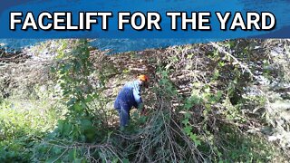 The Tree's Around The House Need A New Look | New Litter Of Kits | Barn Loft Cleaned Out