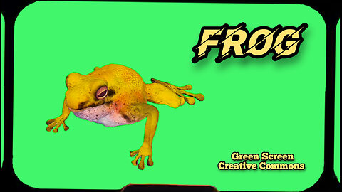 FROG green screen animation. GREEN SCREEN video footage.