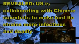 US Collaborating With China Scientists To Make More Infectious/Deadly Bird Flu Strains