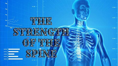 💫Healing and the Power of the Spinal Column💫 Regenerates every Cell, every Vertebra 💫