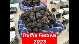 Today I visited the Zigante Truffle Festival.2023