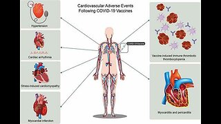 DISCLOSURE: 🇩🇪🇦🇹🇨🇭: Prof. Dr. Brigitte König, Magdeburg - Die Covid mRNA Injektion ist eine tödliche BioWaffe - Aggressive Toxische Spikes greifen alle Organe an -