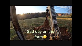 Sad day on the farm (RIP BEAU)