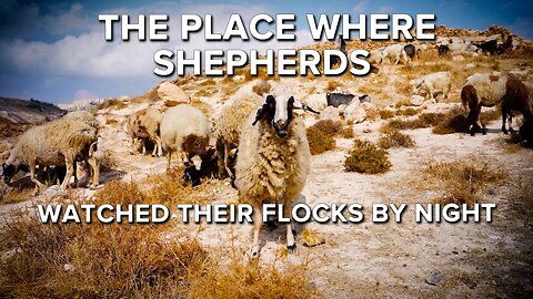 Visiting Where the Shepherds Watched Their Flocks By Night 12/23/2022
