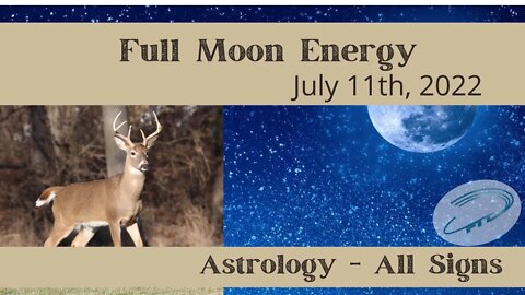 Full Moon Energy Astrological Signs, What to Expect