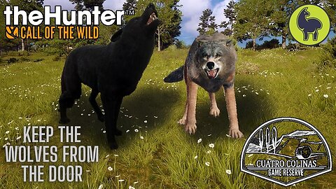 Keep the Wolves From the Door, Cuatro Colinas | theHunter: Call of the Wild (PS5 4K)