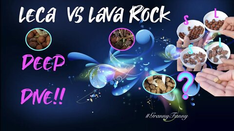 LECA VS LAVA | COMPREHENSIVE DISCUSSION | DIFFERENCES | SIMILARITIES | RESULTS 🙌🏼 #GrannyFanny