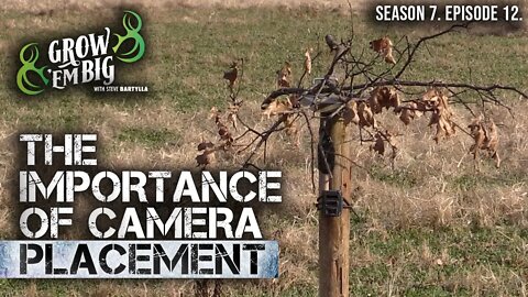 How to Properly Use Trail Cameras