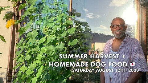 Summer Harvest + Homemade Dog 🐶Food!