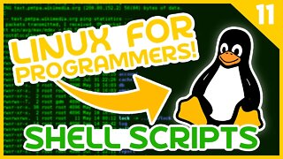 Linux For Programmers #11 - Shell Scripts