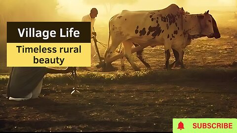 Discover the Charm of Village Life: Timeless Rural Beauty Unveiled!