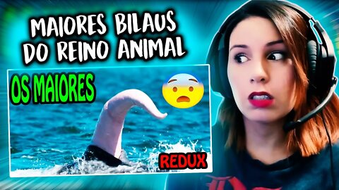 Os maiores e mais estranhos Bilaus do Reino Animal! REDUX - REACT