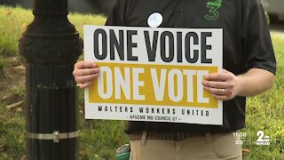 Walters Art Museum employees rally to unionize