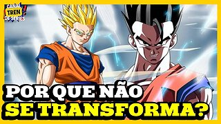 POR QUE GOHAN NÃO SE TRANFORMOU EM SUPER SAYAJIN NA LUTA CONTRA MAJIN BOO EM DRAGON BALL Z