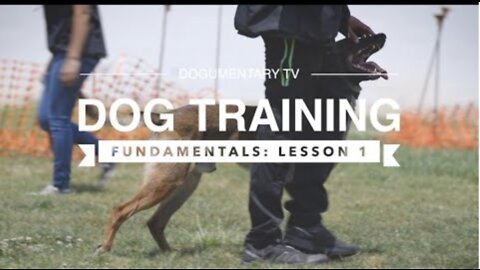 DOG TRAINING FUNDAMENTALS: LESSON 1