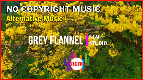 Grey Flannel - Vans in Japan: Alternative Music, Angry Music, Action Music @NCMstudio18 ​