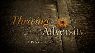 Thriving in Adversity | 1 Peter 2