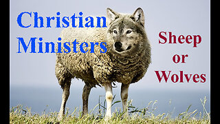 The Gospel of Matthew (Chapter 7): Differentiating Sheep from Wolves