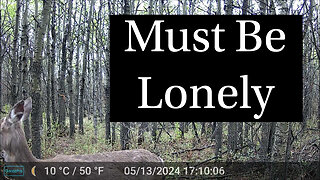 Must Be Lonely