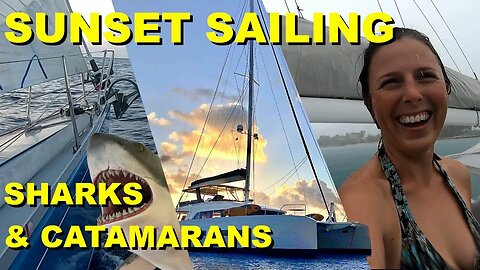 Lagoon 77' Ultimate Catamaran Yacht Tour + Shark ATTACK! [Ep. 25]