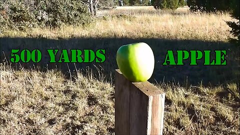 Shooting an Apple at 500 Yards!