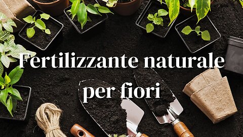 Fertilizzante naturale per fiori