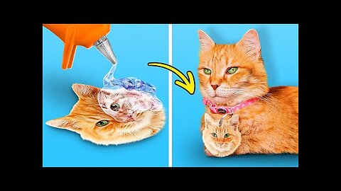 How to make Amazing Kitten House from Handy Tools 🐈 Best Pet Hacks by 5-Minute Crafts