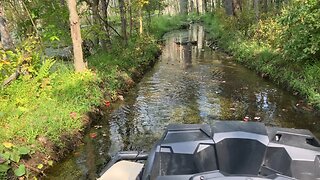 Franklin State Park swamp trail