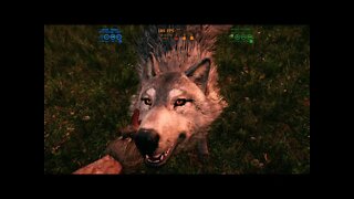 Far Cry Primal 4K PC Gameplay