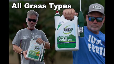 Easiest Weed Control for Beginners