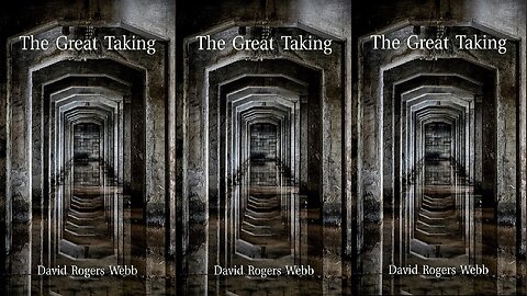 The Great Taking by David Rogers Webb