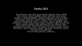 Exodus Chapter 28