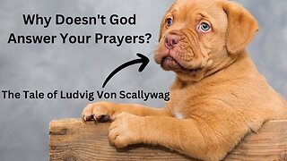 WHY DOES GOD NOT ANSWER YOUR PRAYERS? The Tale of Ludvig von Scallywag