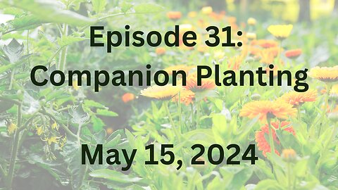 Podcast Episode 31: Companion Planting