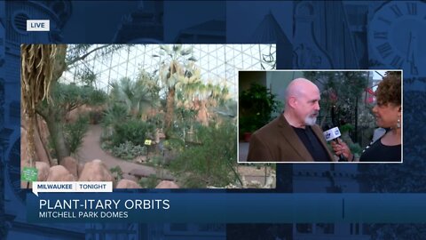 Check out 'Plant-itary Orbits' at the Mitchell Park Domes