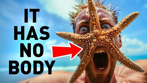 "Incredible Animal Facts: How Starfish Can Crawl with Just Their Heads!"